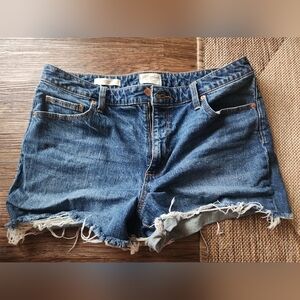 Universal Thread Blue Jean Shorts